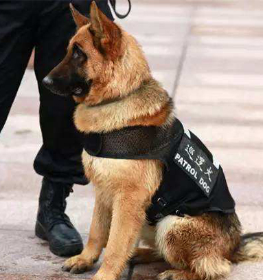 色多多污污APP下载 色多多污污APP下载