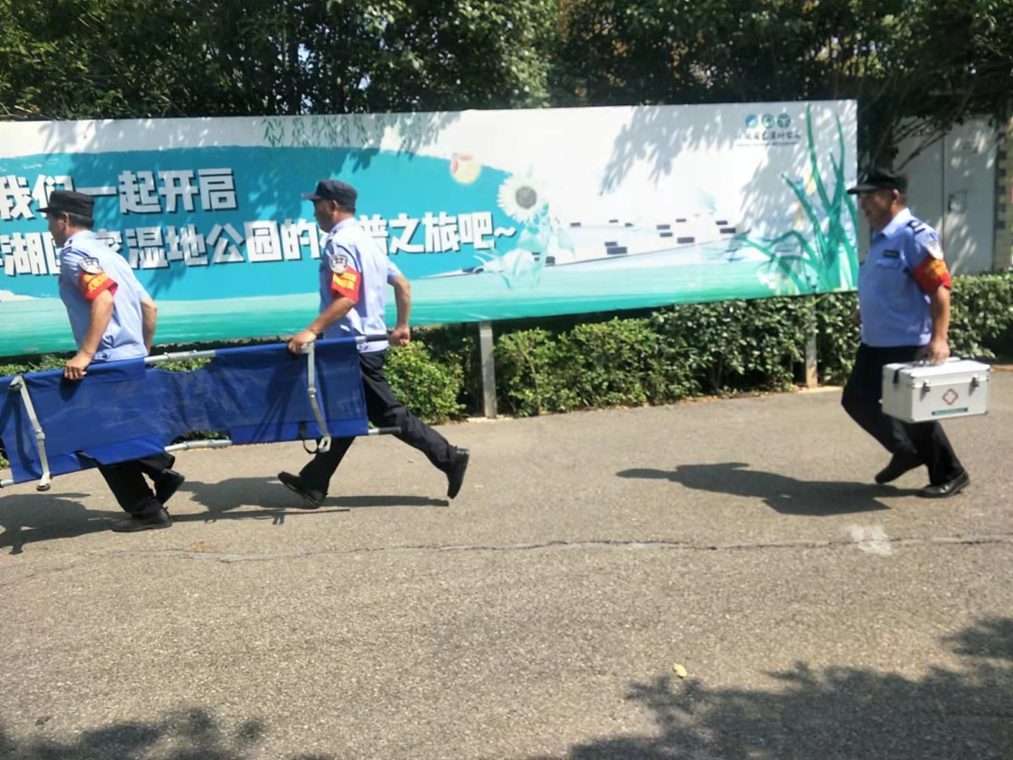 1631517106784623.jpg 1631517106784623.jpg