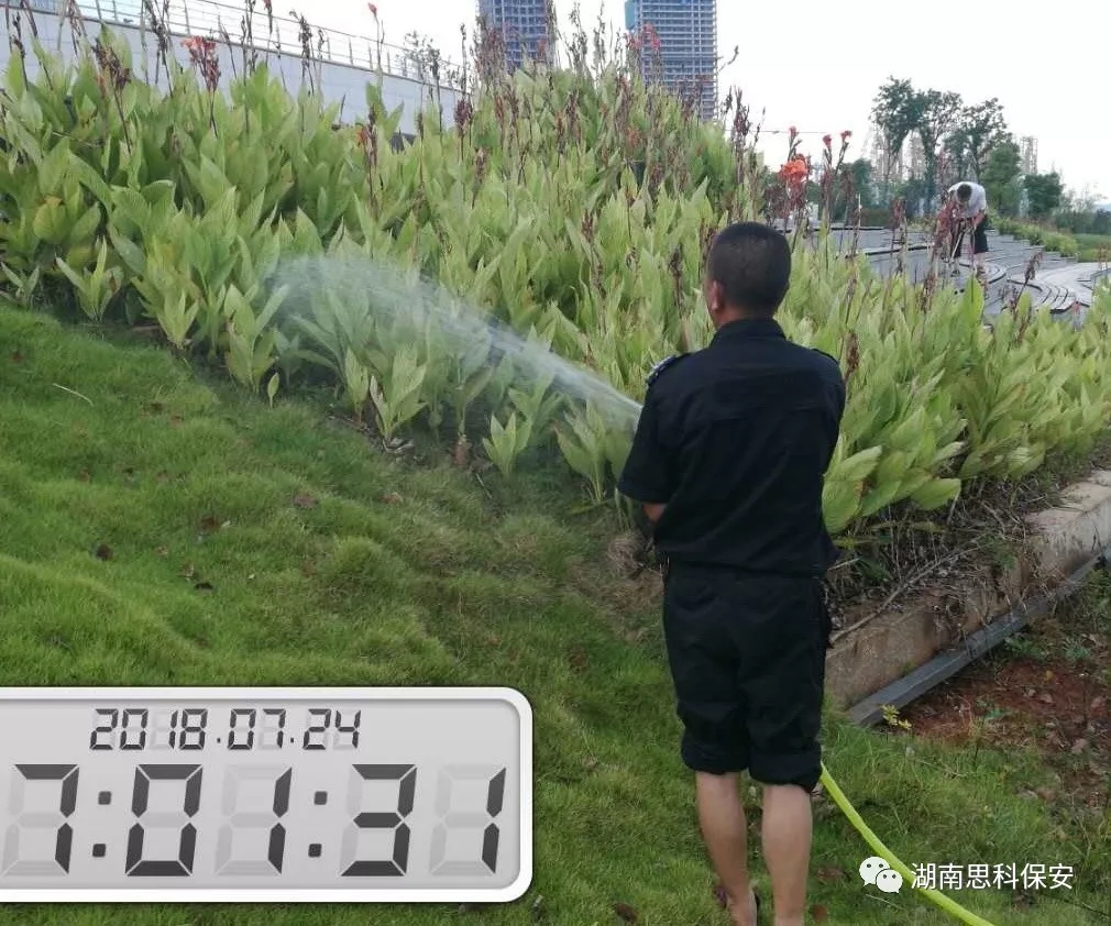 1634807624245412.jpg 1634807624245412.jpg